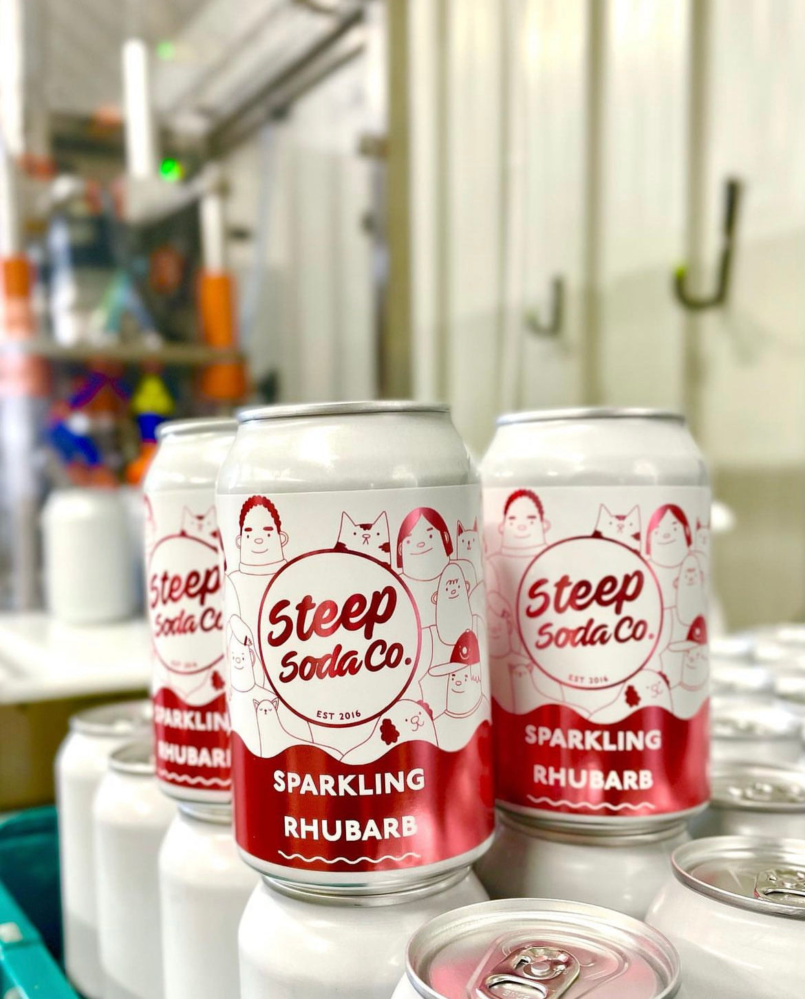 Steep Soda Co - Rhubarb *Limited Release*